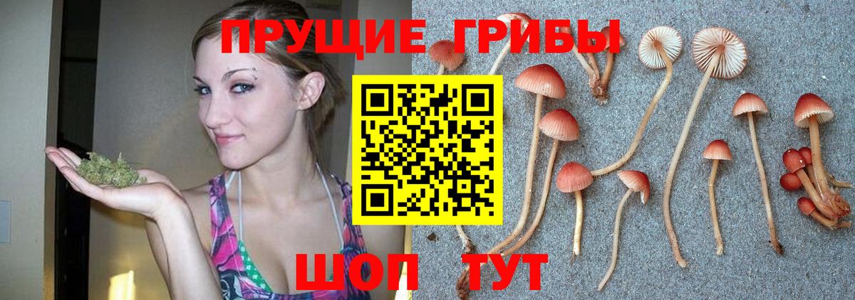 Псилоцибиновые грибы MAGIC MUSHROOMS Алушта