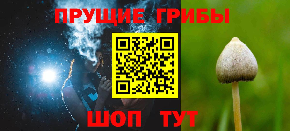 купить наркотик  Галлюциногенные грибы мухоморы  Вход с VPN  Галлюциногенные грибы мухоморы  Алушта 